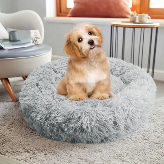 best anti anxiety dog bed uk