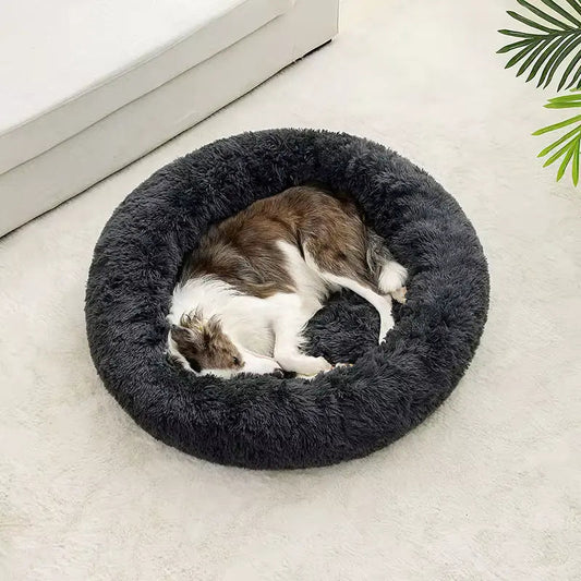 calming bed for dogs