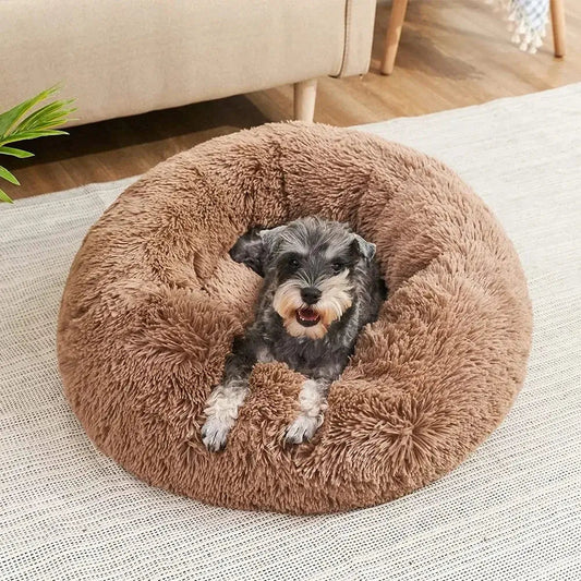 dog anxiety bed