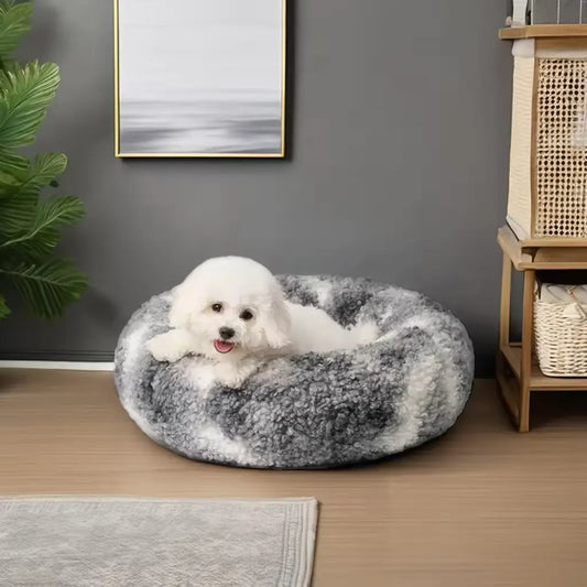 dog comfort bed