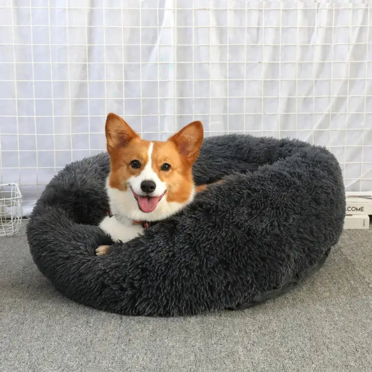 donut dog bed uk