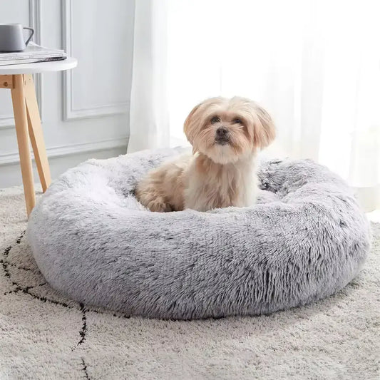 stress beds for dogs